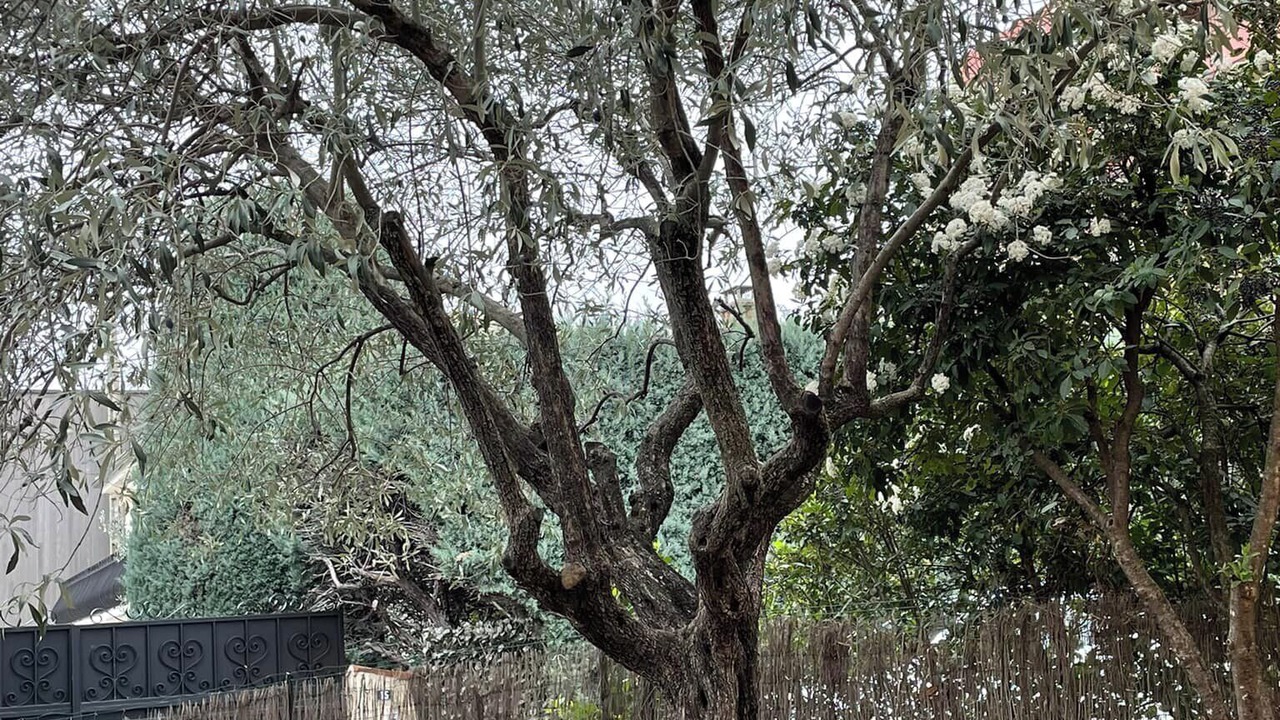 Photo of Outdoor in Nyons