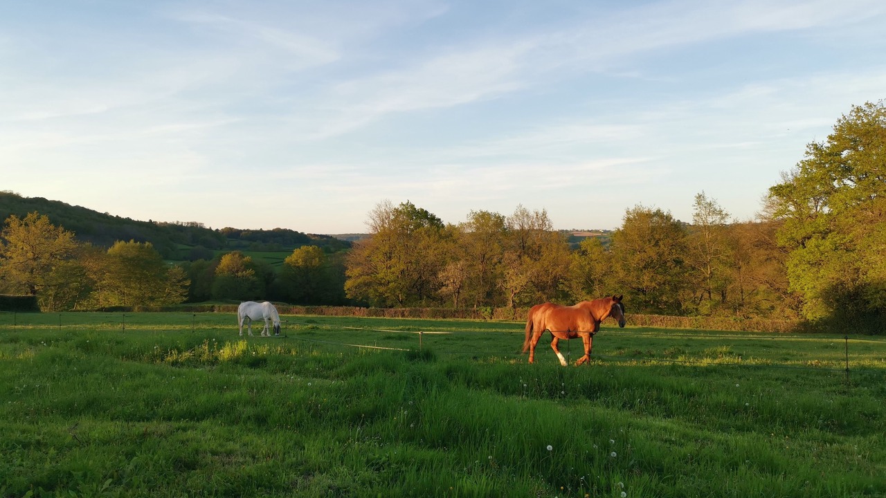 Photo of Others in Saint-Martin-du-Puy