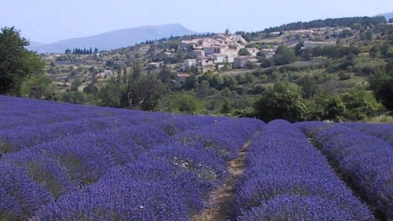 Photo of Others in Ferrassieres