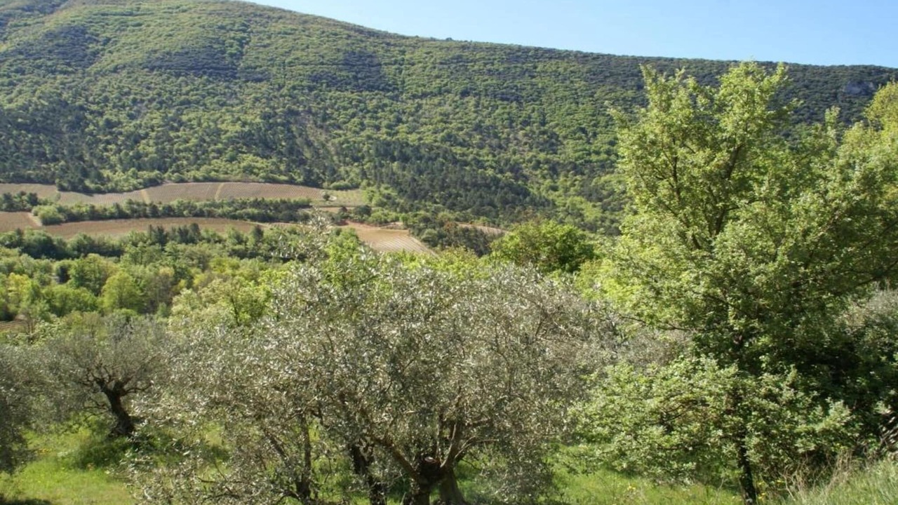 Photo of Others in Ferrassieres