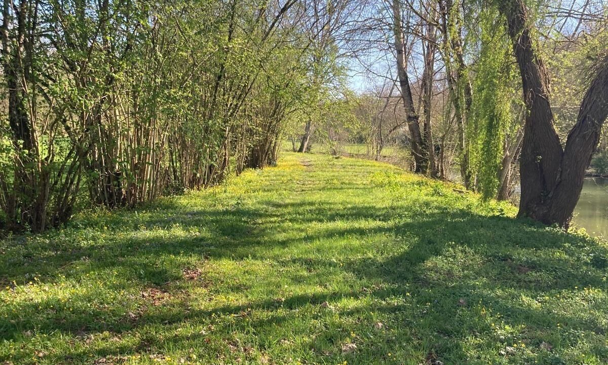 Photo of Others in LIsle-sur-Serein