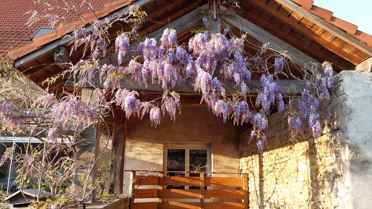Photo of Outdoor in Mesandans