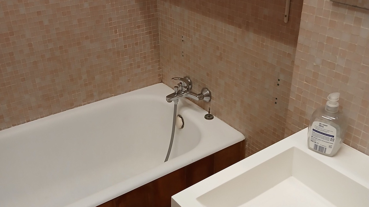 Photo of Bathroom in Corenc