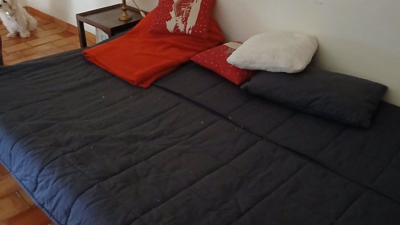 Photo of Bedroom in Corenc