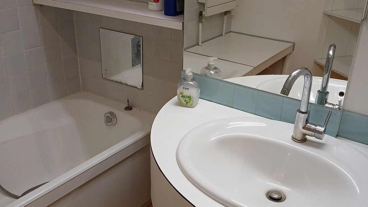 Photo of Bathroom in Corenc