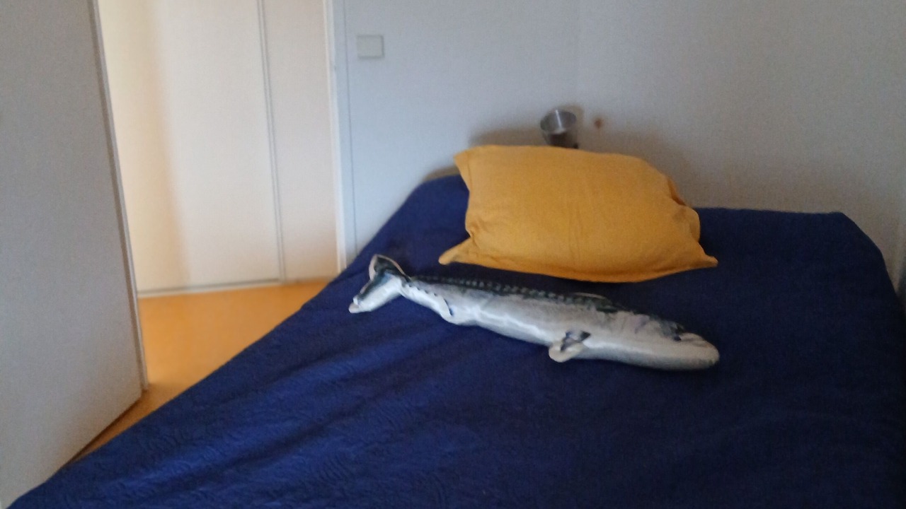 Photo of Bedroom in Corenc