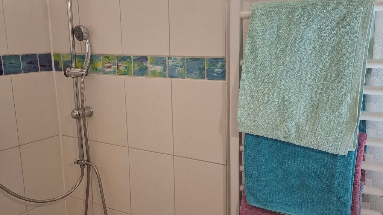 Photo of Bathroom in Saint-Alban-sous-Sampzon