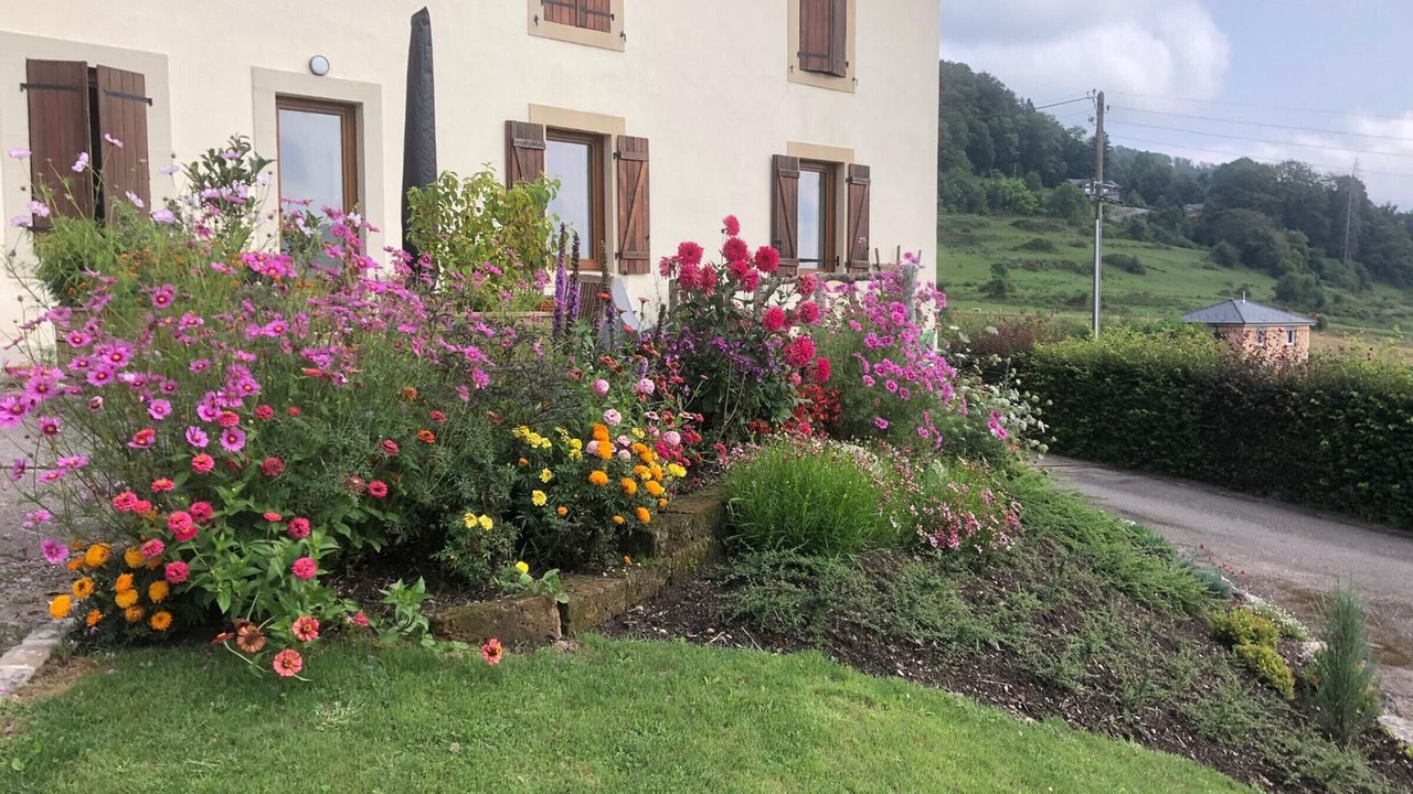 Photo of Outdoor in Saint-Nabord
