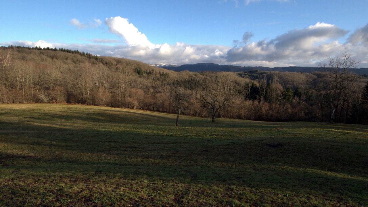 Photo of Others in Ternuay-Melay-et-Saint-Hilaire