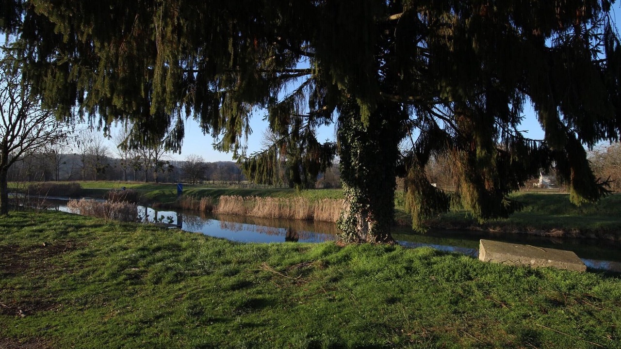 Photo of Others in Soing-Cubry-Charentenay