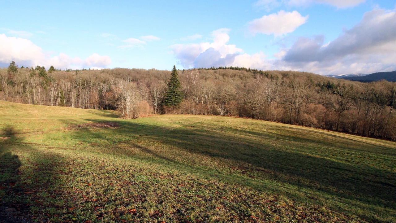 Photo of Others in Ternuay-Melay-et-Saint-Hilaire