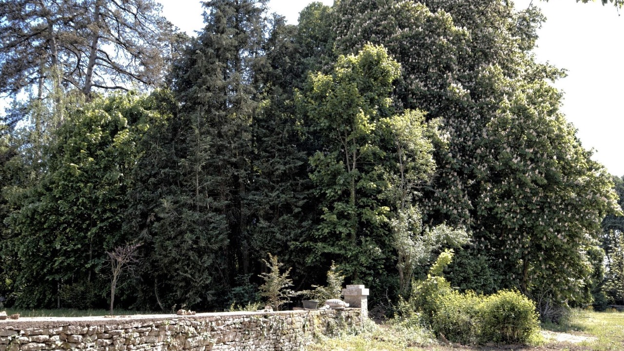 Photo of Outdoor in Montagney