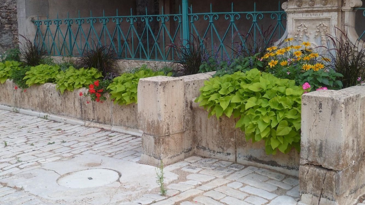 Photo of Outdoor in Chargey-les-Port