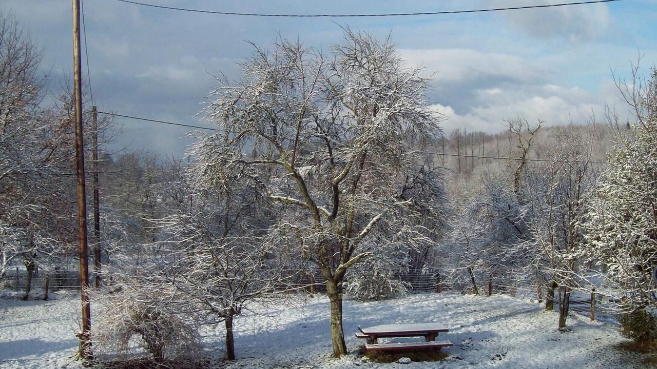 Photo of Others in Fougerolles