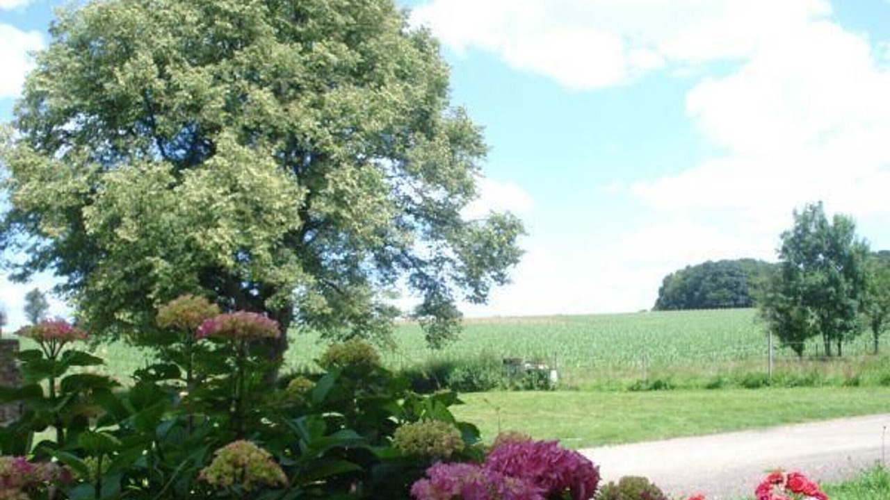 Photo of Outdoor in Esprels