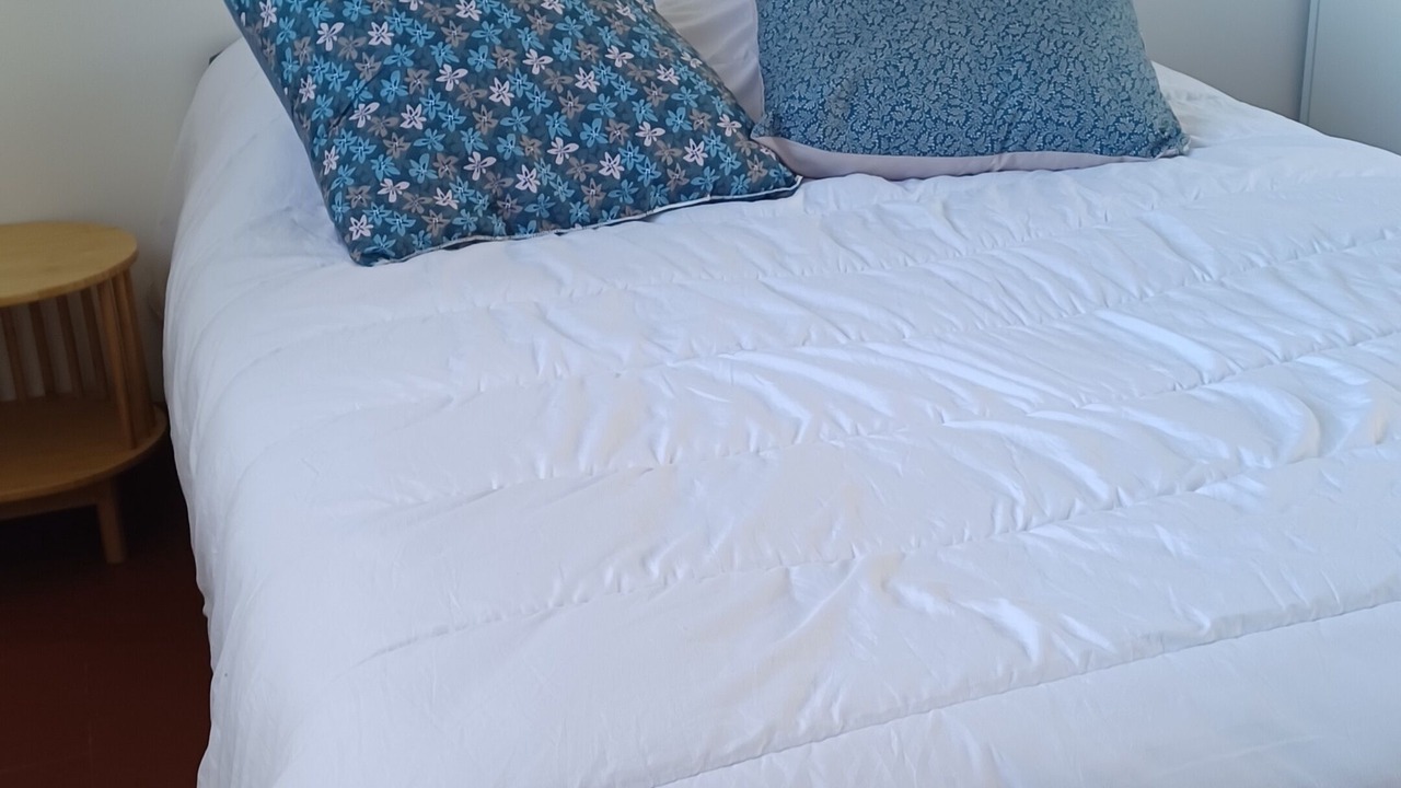 Photo of Bedroom in Digoin