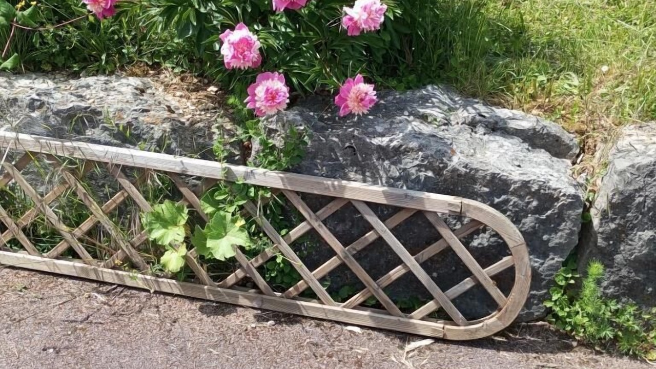 Photo of Outdoor in Montanges
