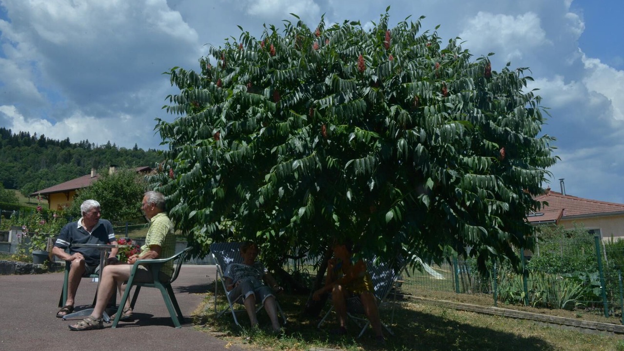 Photo of Outdoor in Montanges