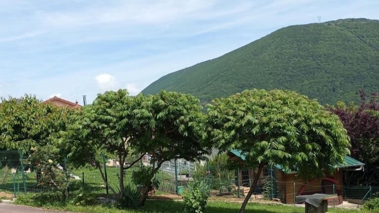 Photo of Outdoor in Montanges
