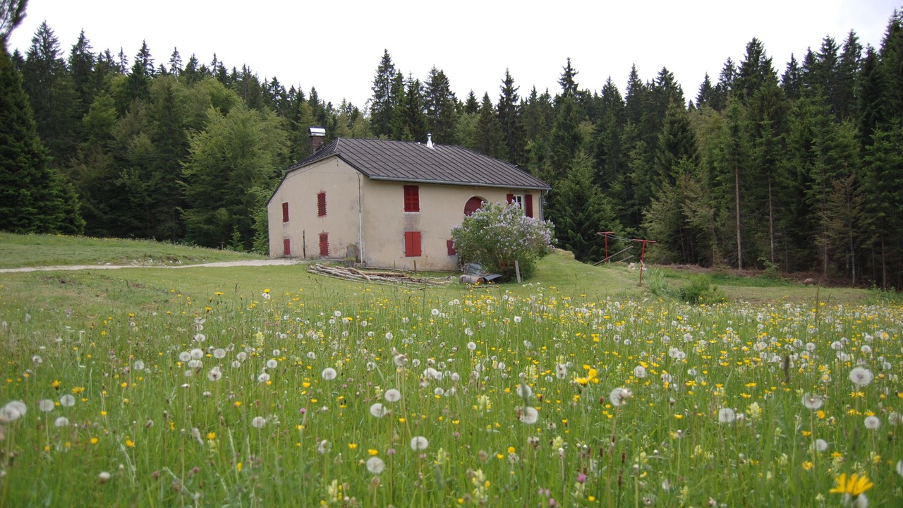 Photo of Outdoor in Premanon