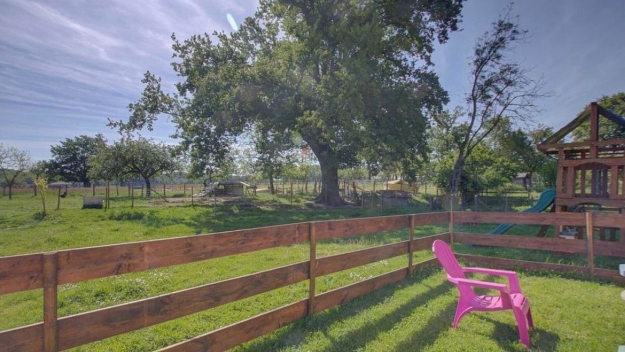 Photo of Outdoor in Saint-Didier-d'Aussiat