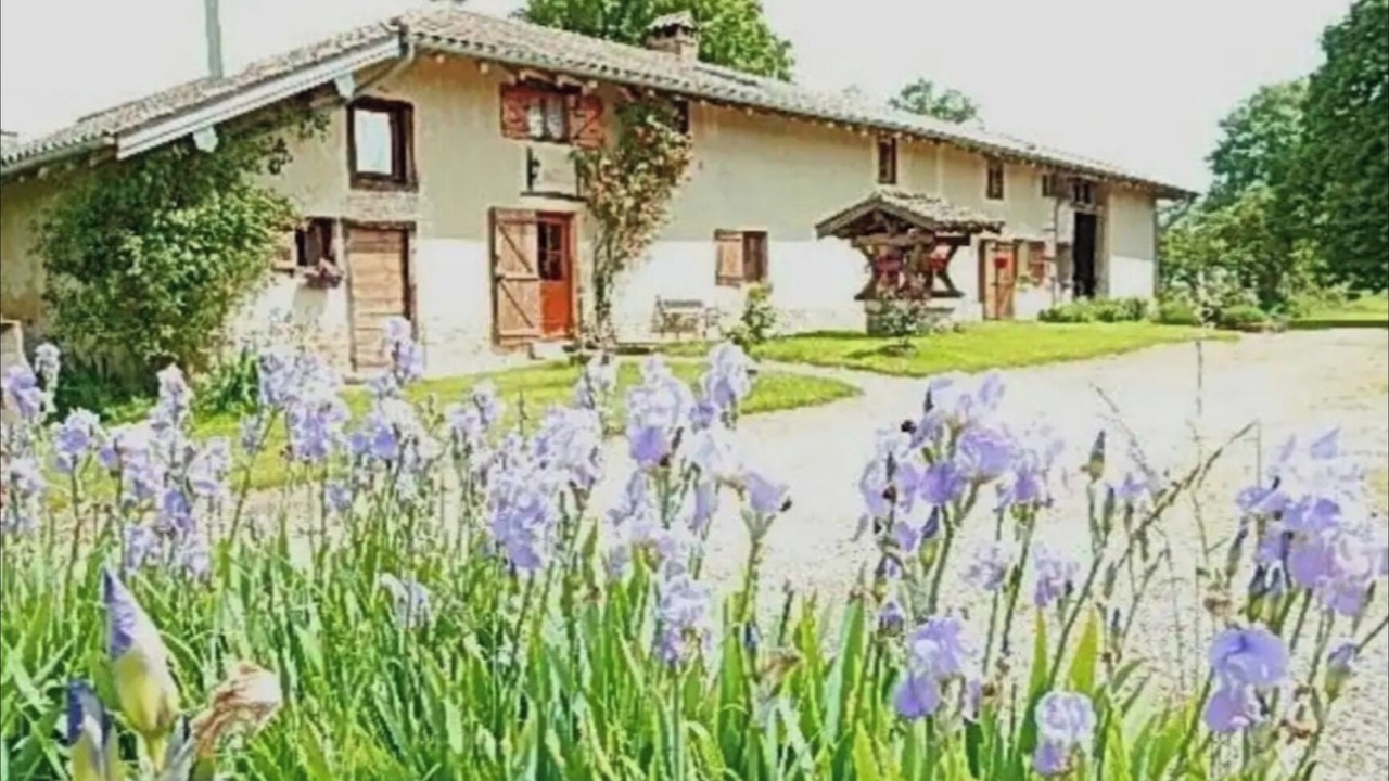 Photo of Outdoor in Saint-Didier-d'Aussiat