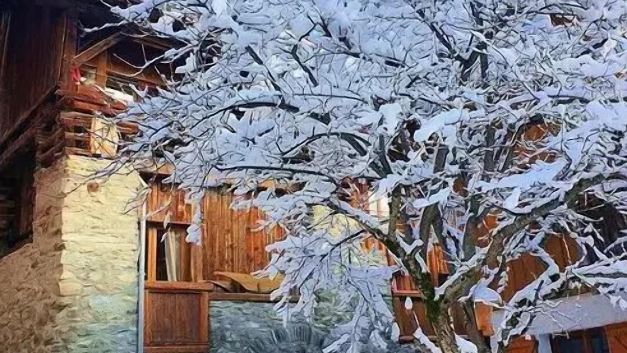 Photo of Outdoor in Les Allues