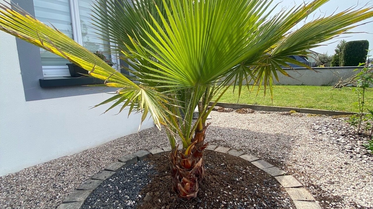 Photo of Outdoor in Vittoncourt