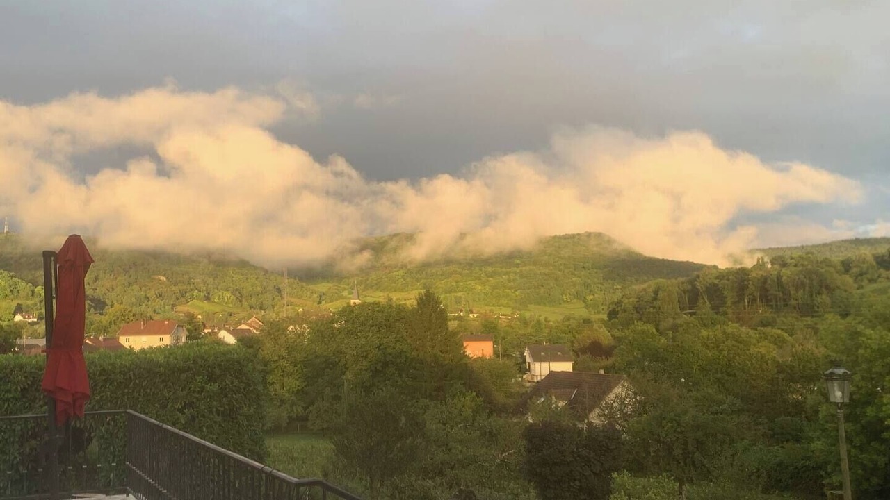 Photo of Outdoor in Arbois