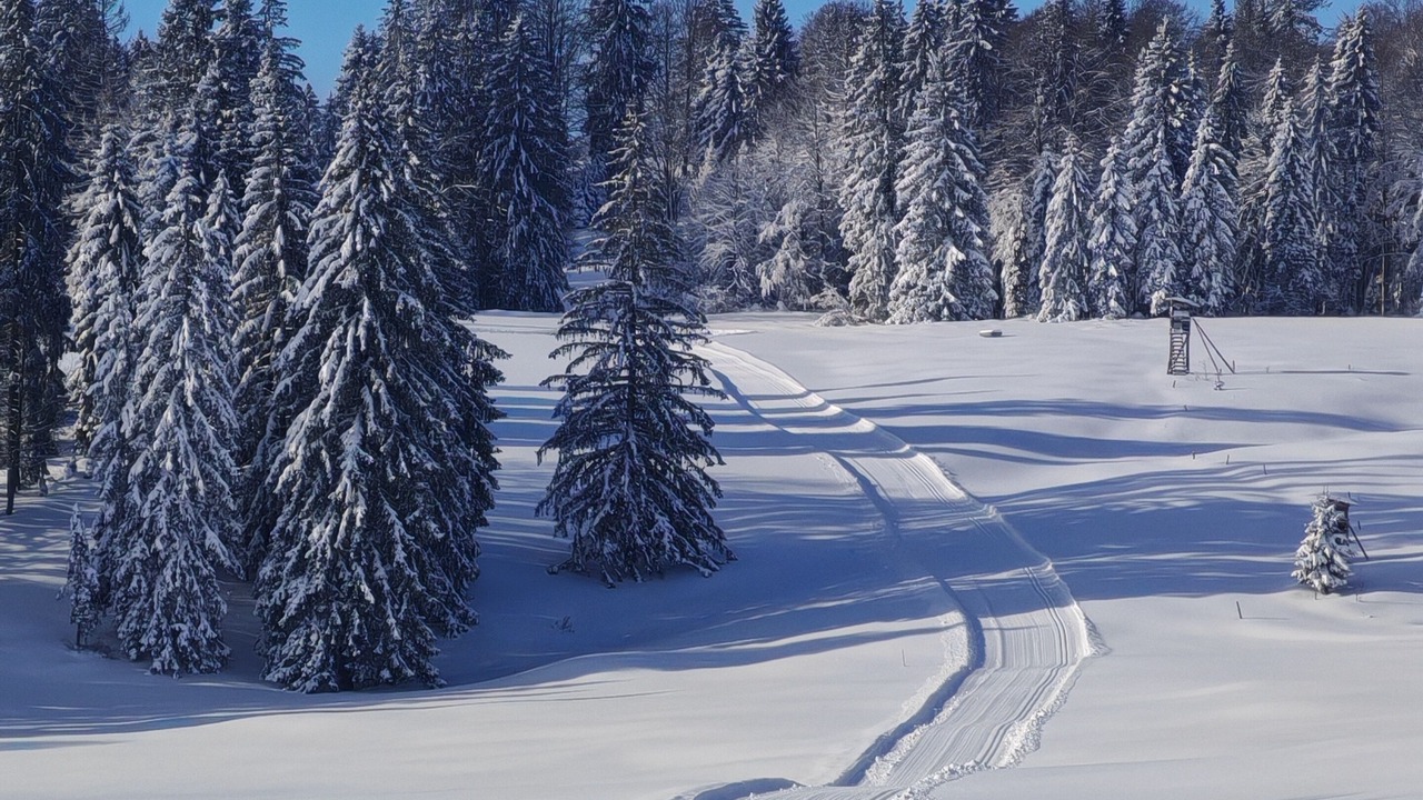 Photo of Others in Verrieres-de-Joux