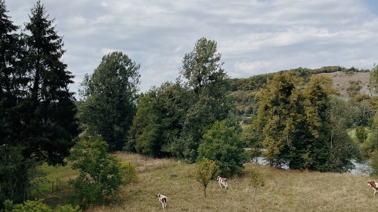 Photo of Others in Charnay