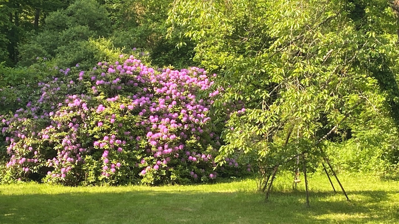 Photo of Outdoor in Saint-Forget