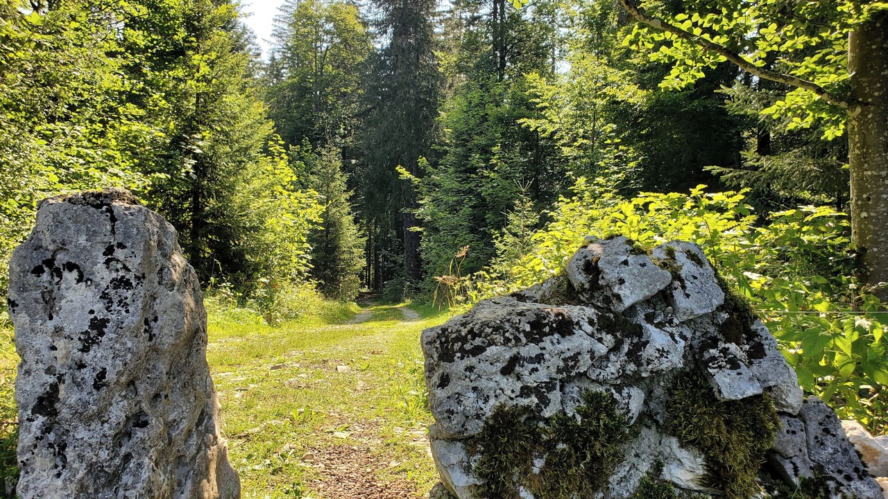 Photo of Others in Verrieres-de-Joux