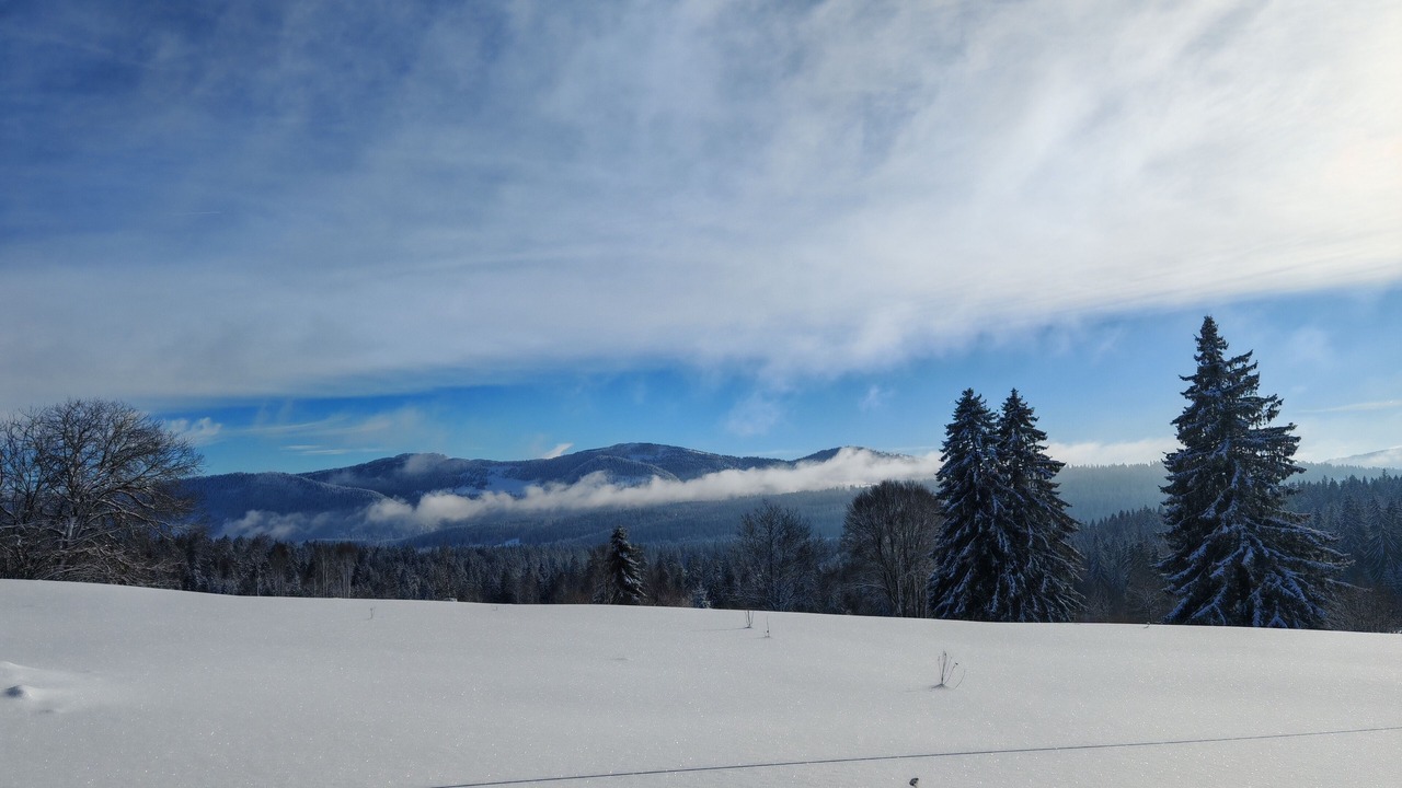 Photo of Others in Verrieres-de-Joux