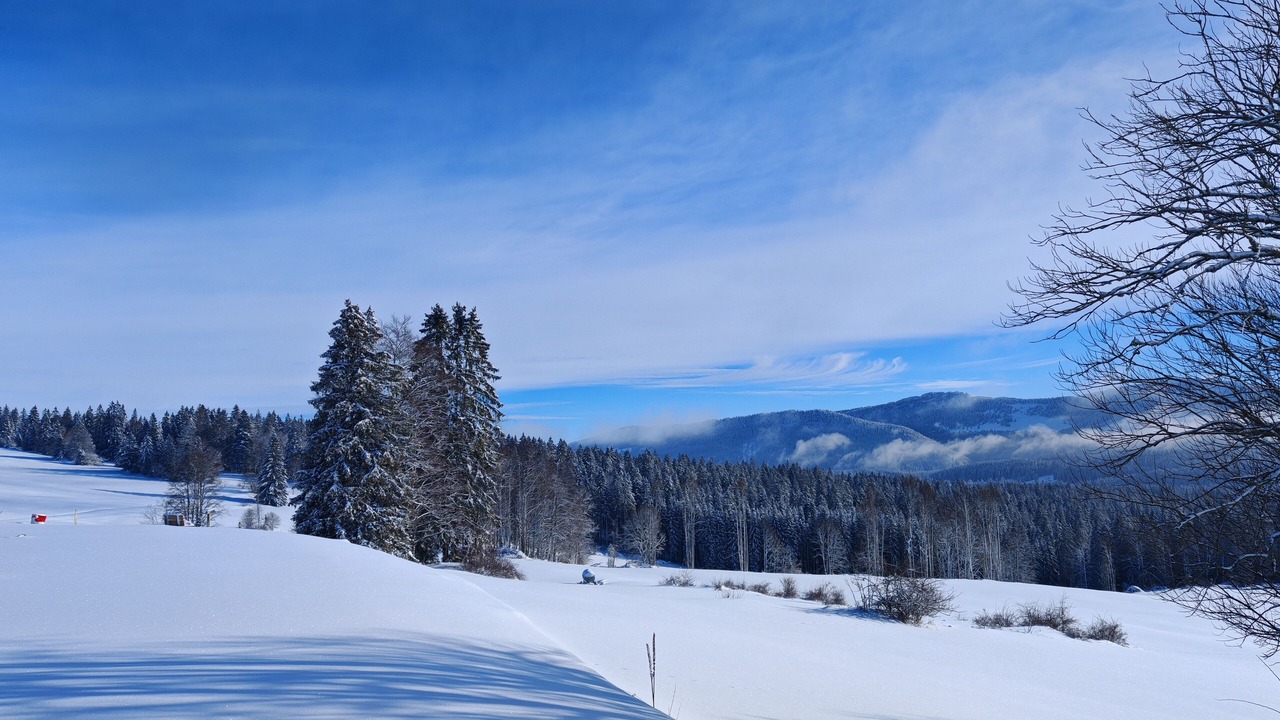 Photo of Others in Verrieres-de-Joux