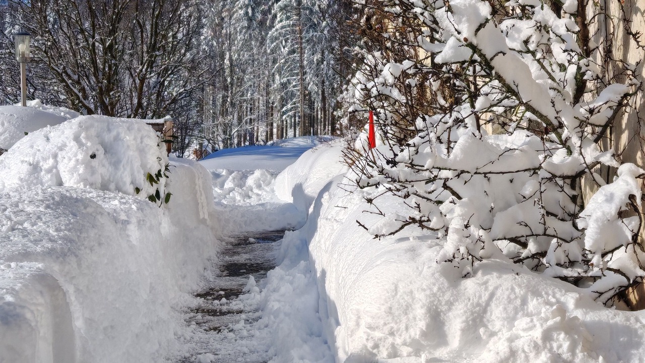 Photo of Outdoor in Verrieres-de-Joux