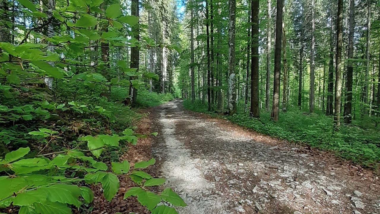 Photo of Others in Verrieres-de-Joux