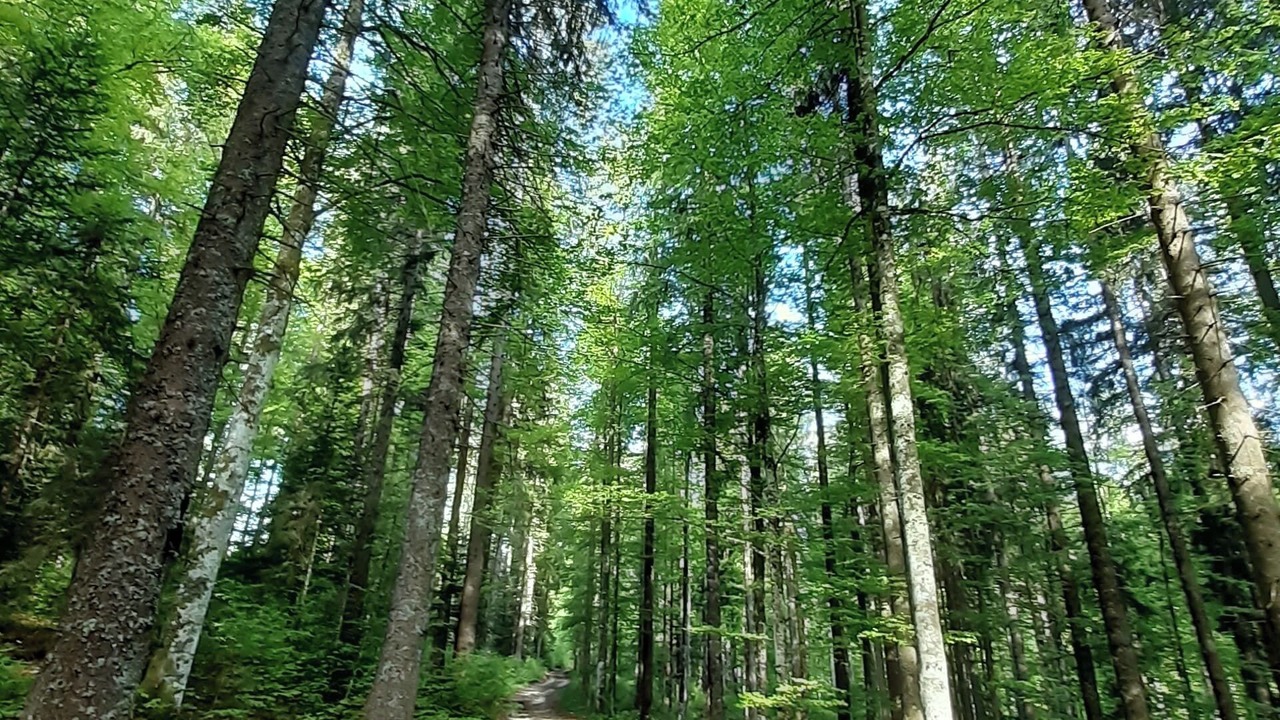 Photo of Others in Verrieres-de-Joux