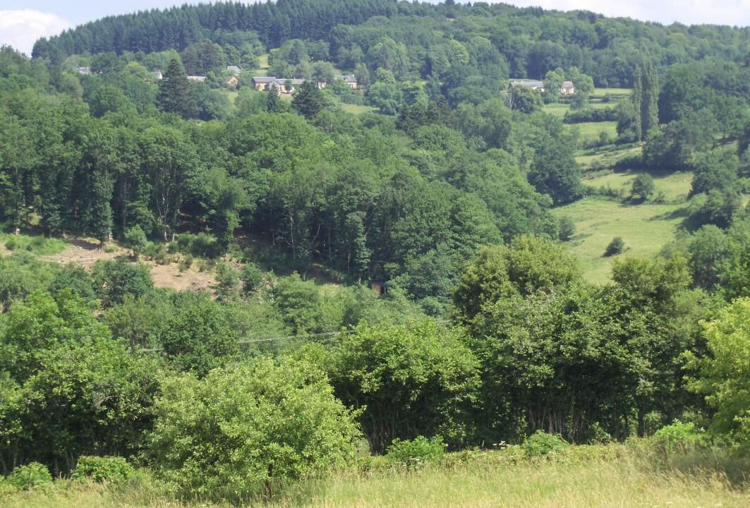 Photo of Others in Anost