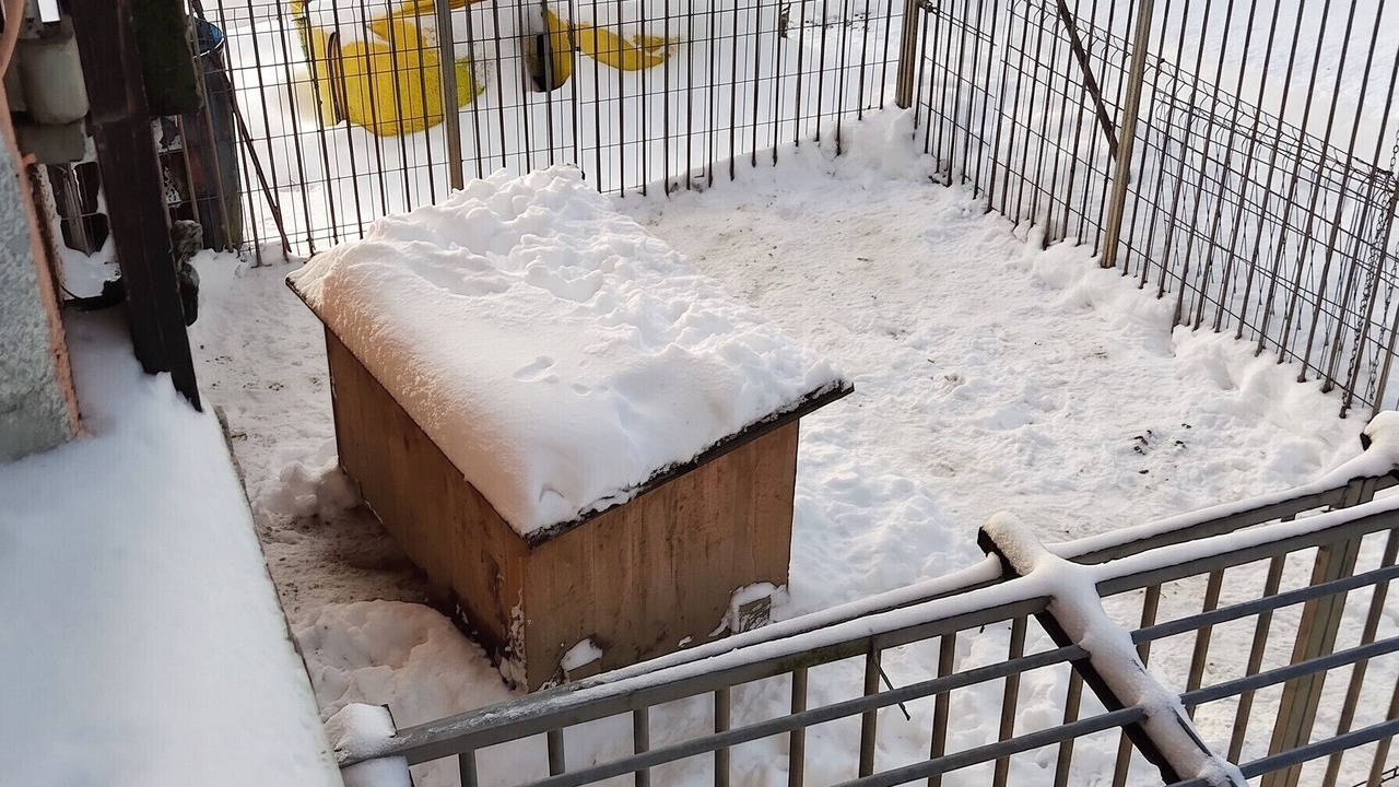 Photo of Outdoor in La Longeville