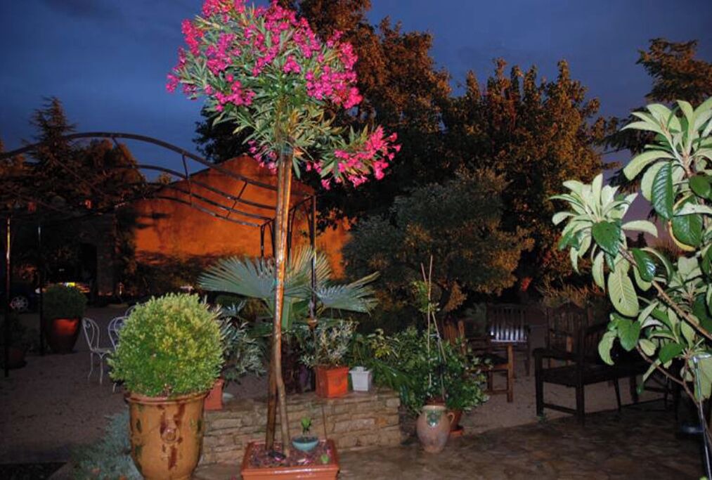 Photo of Outdoor in Violes