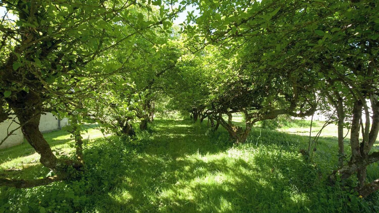 Photo of Others in Allerey-sur-Saone
