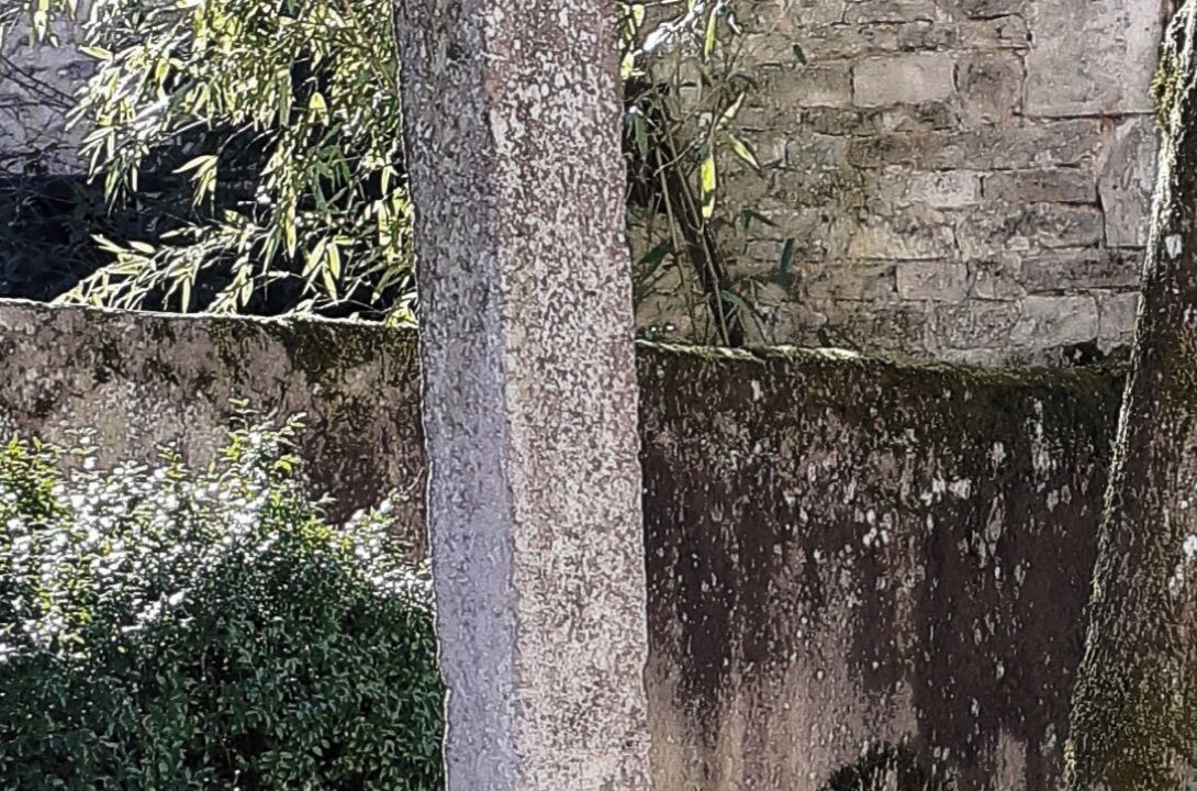 Photo of Outdoor in Lucy-sur-Cure