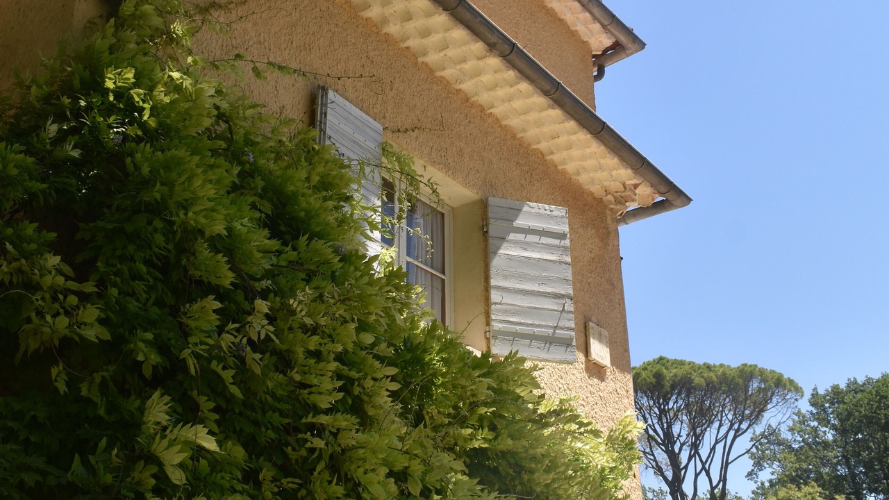 Photo of Outdoor in Mazan