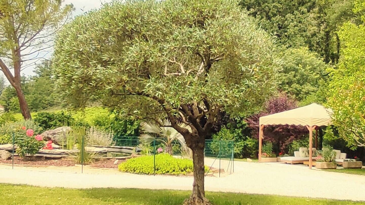 Photo of Outdoor in Rochecolombe