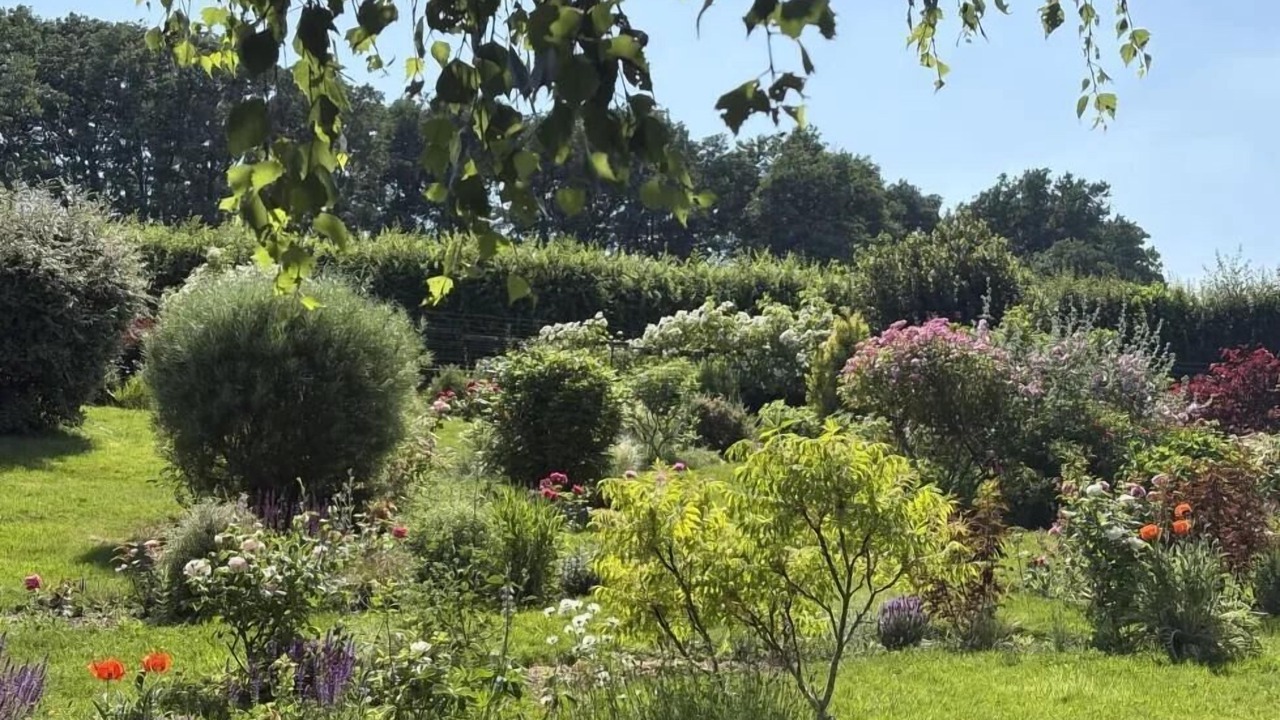 Photo of Outdoor in Saint-Romain-sous-Gourdon