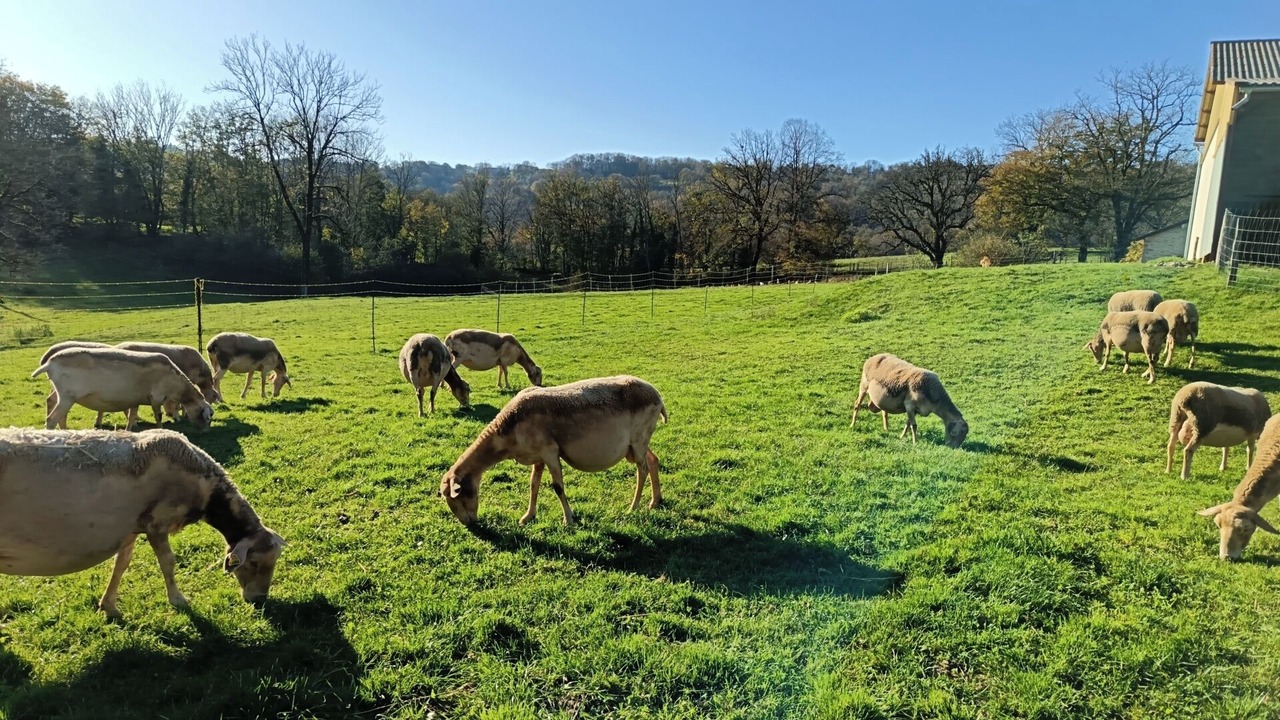 Photo of Others in Augisey