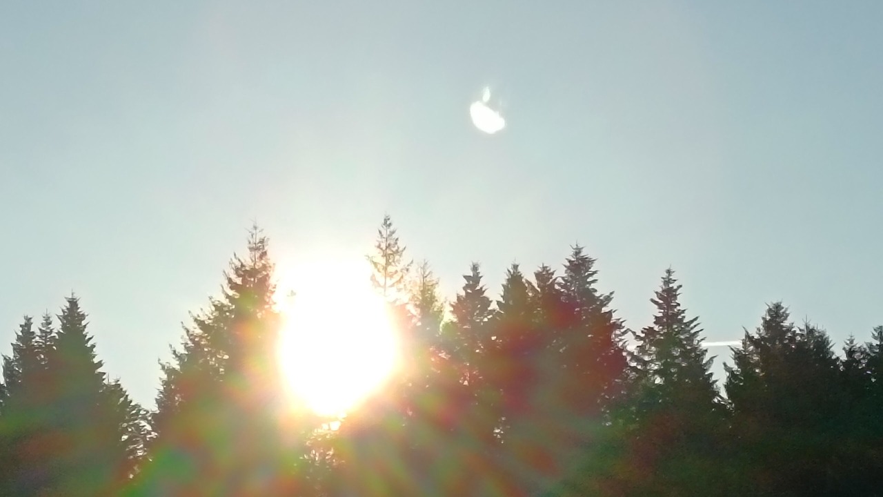 Photo of Others in Augisey