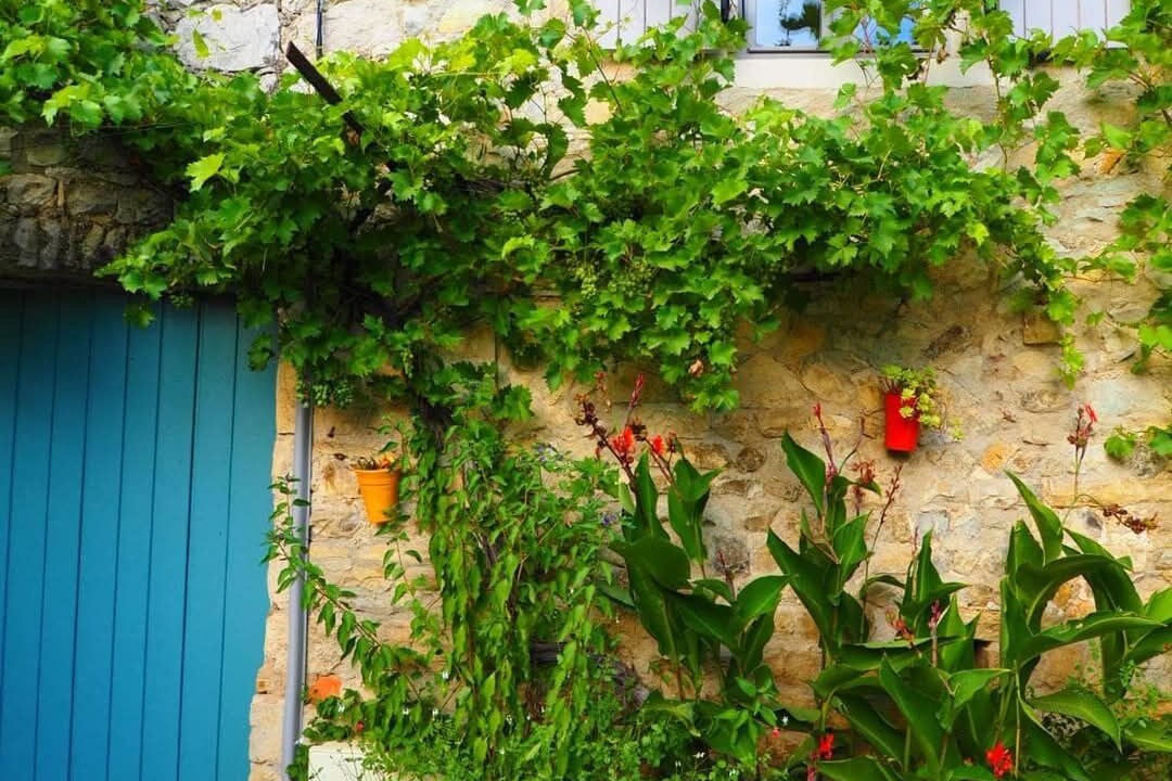 Photo of Outdoor in Sauzet