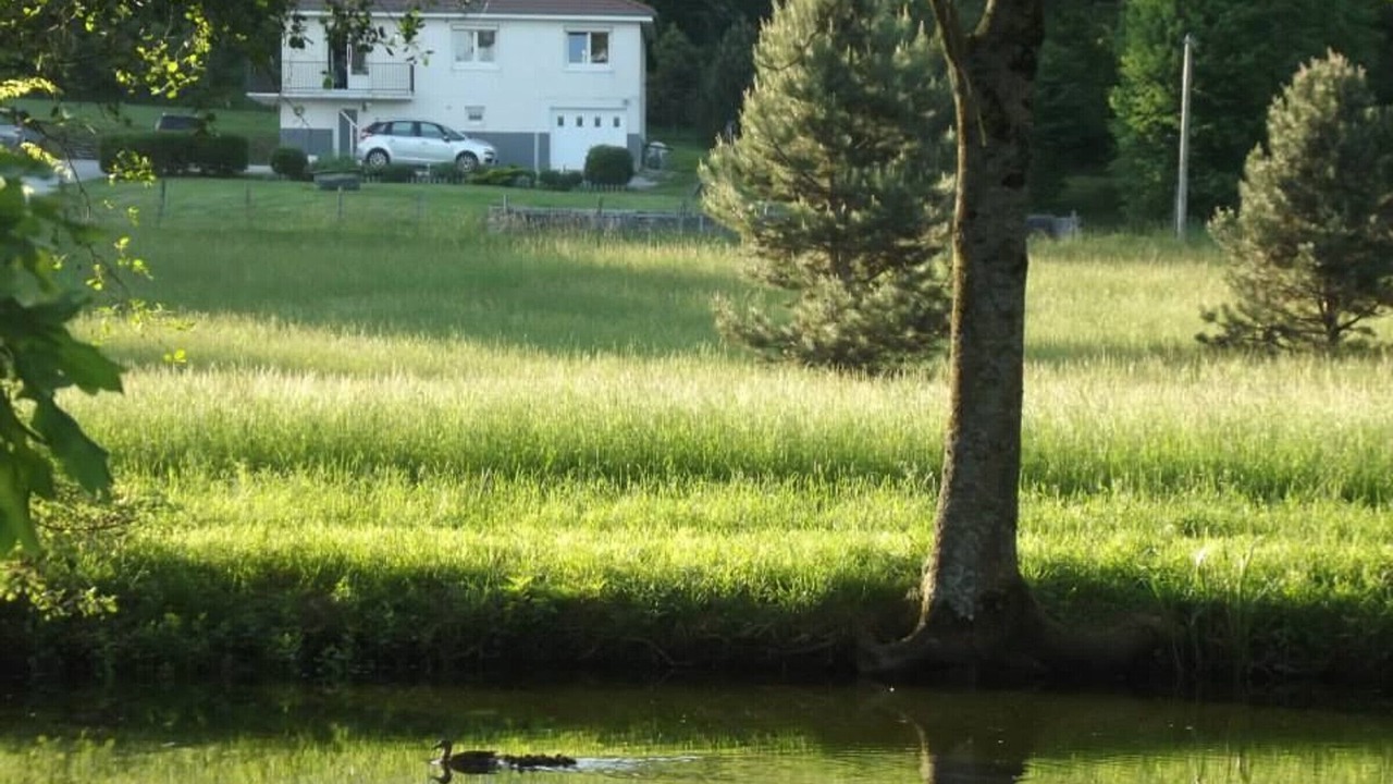 Photo of Outdoor in Gy